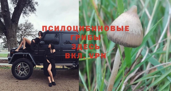 герыч Алексин