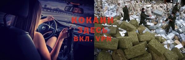 jwh Алзамай